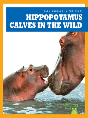 cover image of Hippopotamus Calves in the Wild